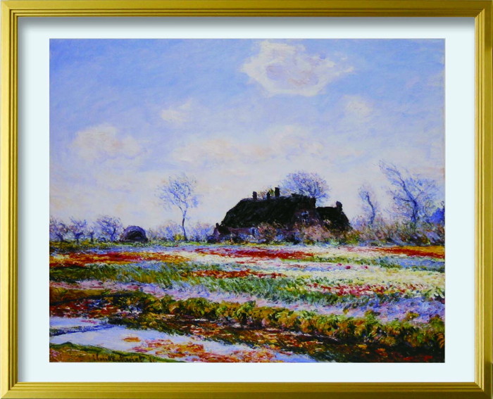 ȯ٥  Claude Monet Tulip fields at Sassenheim L GD 530x430x25mm ZFA-62368 bic-10116707s1 1ܤβ 