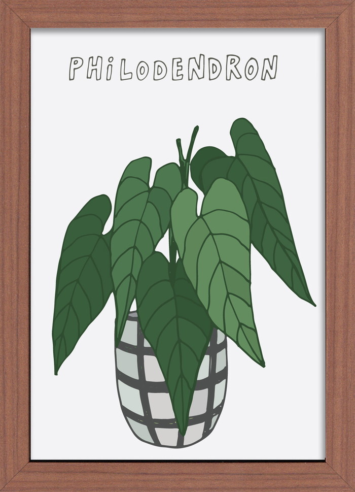 ȯ٥ۡץ Home Plants Phiodendron 275x380x35mm ZHP-53144   ե졼 bic-10220307s1 1ܤβ 