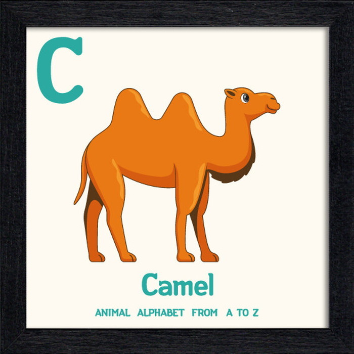 ȯ٥˥ޥ륢ե٥å Animal Alphabet Camel 200x200x53mm ZAA-53210 bic-10772192s1 1ܤβ 