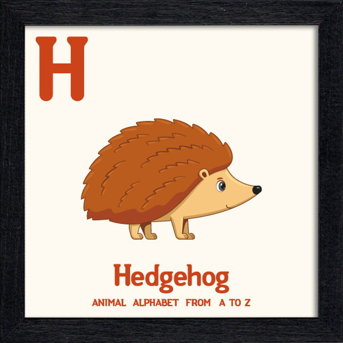ȯ٥˥ޥ륢ե٥å Animal Alphabet Hedgehog 200x200x53mm ZAA-53215 bic-10772197s1 1ܤβ 