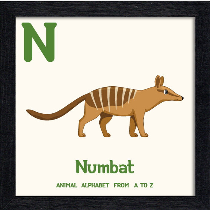 ȯ٥˥ޥ륢ե٥å Animal Alphabet Numbat 200x200x53mm ZAA-53221 bic-10772203s1 1ܤβ 