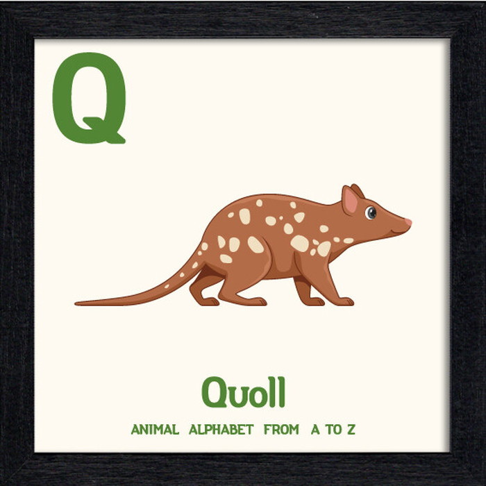 ȯ٥˥ޥ륢ե٥å Animal Alphabet Quoll 200x200x53mm ZAA-53224 bic-10772206s1 1ܤβ 
