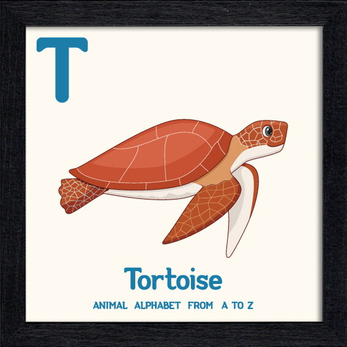 ȯ٥˥ޥ륢ե٥å Animal Alphabet Tortoise 200x200x53mm ZAA-53227 bic-10772209s1 1ܤβ 