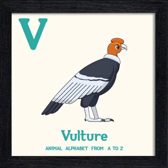 ȯ٥˥ޥ륢ե٥å Animal Alphabet Vulture 200x200x53mm ZAA-53229 bic-10772211s1 1ܤβ 