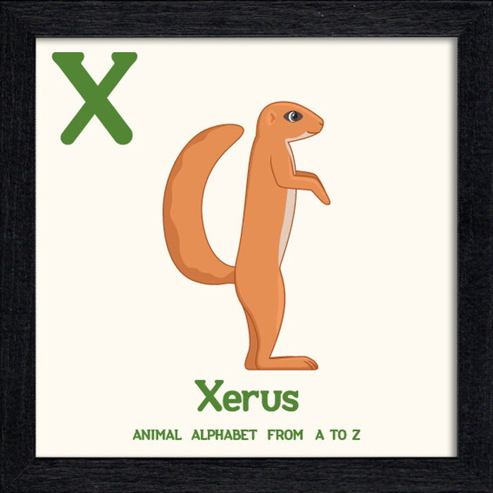 ȯ٥˥ޥ륢ե٥å Animal Alphabet Xerus 200x200x53mm ZAA-53231 bic-10772213s1 1ܤβ 