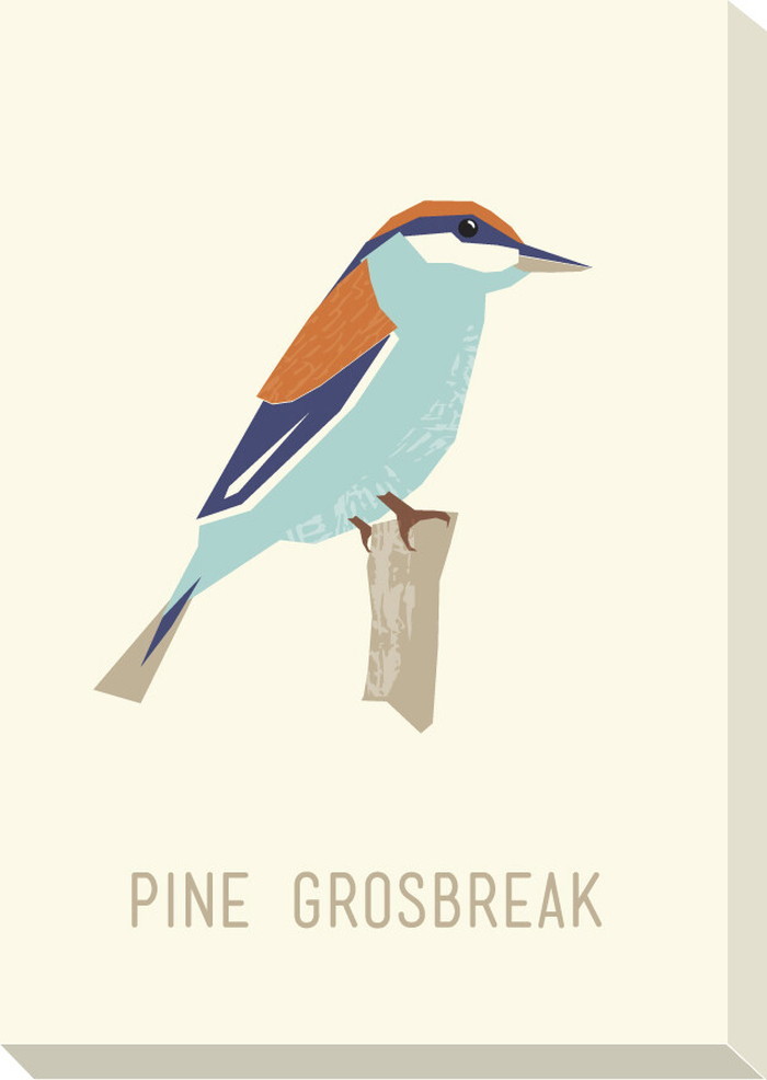 ȯ٥Х North Birds Mini Panel Pine Grosbreak 150x210x32mm 150x210x32mm ZPA-53448 bic-11171143s1 1ܤβ 