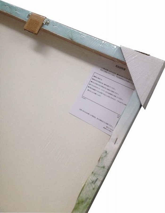 キャンバスアート Petit Canvas Art Fifth Ave. 500x400mm 500x400x25mm ZPT-61616 bic-6943268s1 4枚目の画像