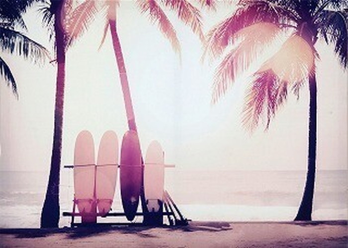 ȯ٥Х Carino Canvas Art Surfboard and palm tree 700x500mm 700x500x25mm ZPT-61751 bic-7030278s1 1ܤβ 