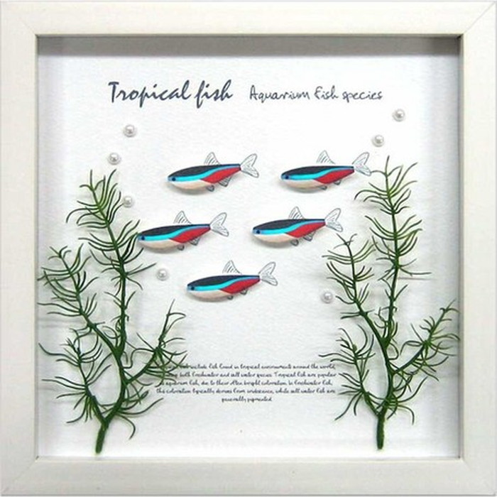 ȯ٥ե졼 ͥƥȥ Aqua Frame Neon Tetra 220x220x20mm ZAF-50795 bic-7062401s1 1ܤβ 