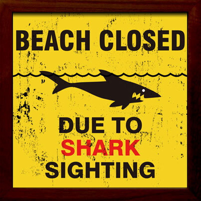 サインフレーム SIGN FRAME Shark Sighting 220x220x20mm ZSF-52033 bic-7088737s1 1枚目の画像