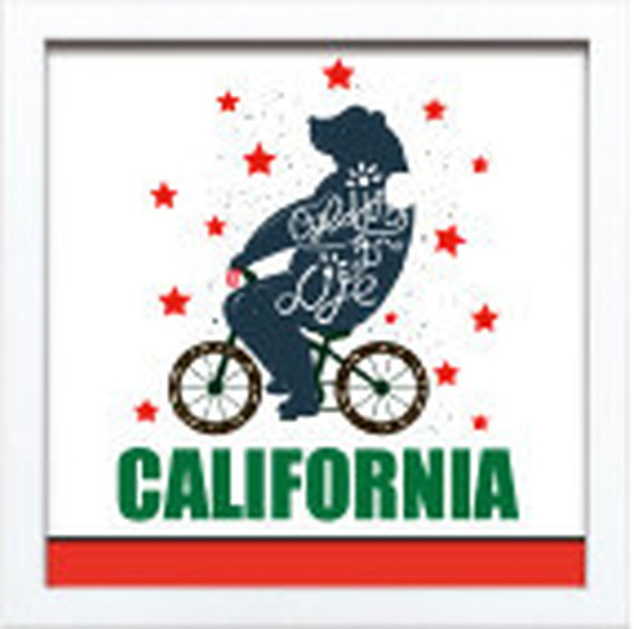 ȯ٥ե졼 SIGN FRAME CALIFORNIA 220x220x20mm ZSF-52373 bic-7088760s1 1ܤβ 