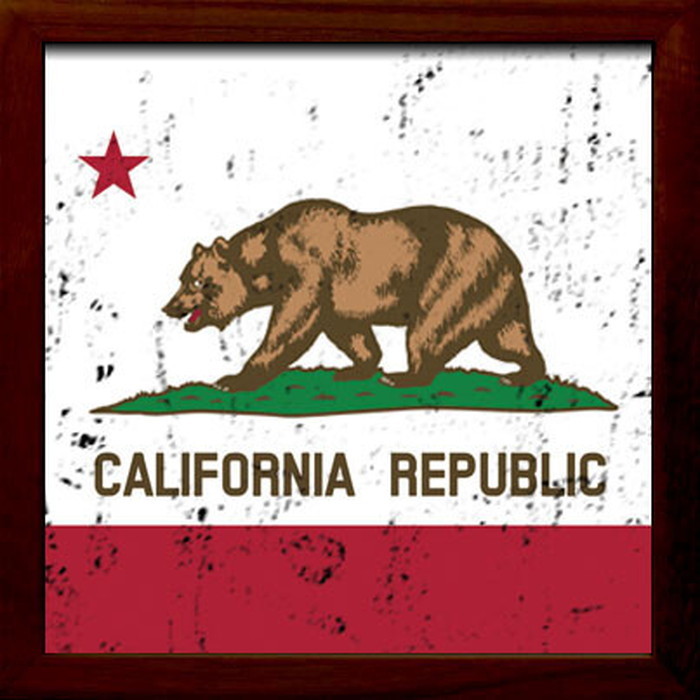 ȯ٥ե졼 SIGN FRAME California Republic 220x220x20mm ZSF-52031 bic-7088806s1 1ܤβ 