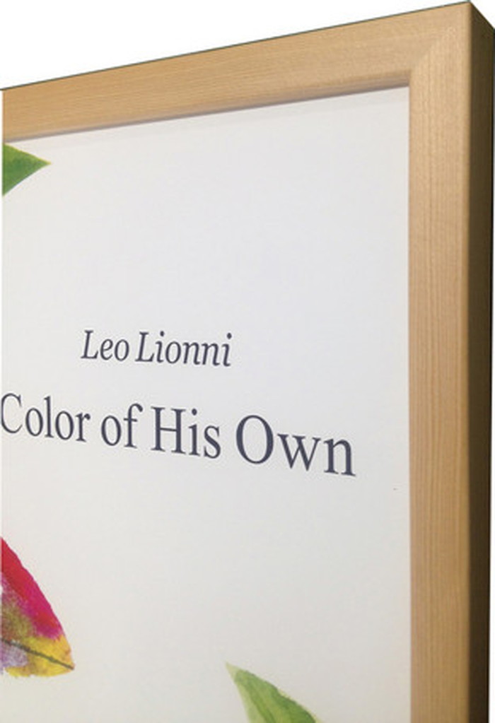 ȯ٥ȥե졼 쥪ꥪ Leo Lionni A Color of His Own A Color of His Own 387x280x17mm ZLL-61860 bic-7092152s1 5ܤβ 