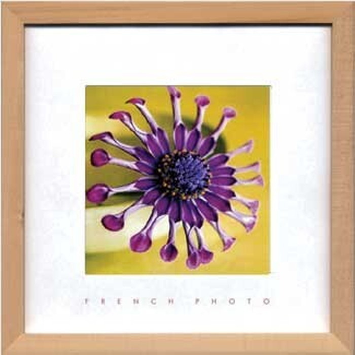 アートフレーム フレンチフォトグラフィ French Photography Violet Green 220x220x20mm ZFP-51885 bic-7093188s1 1枚目の画像