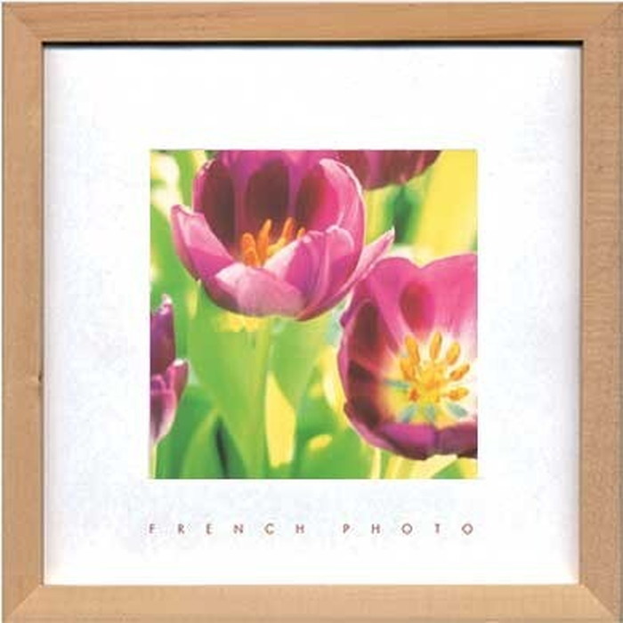 アートフレーム フレンチフォトグラフィ French Photography Tulips 220x220x20mm ZFP-51895 bic-7093197s1 アートパネル アートボード
