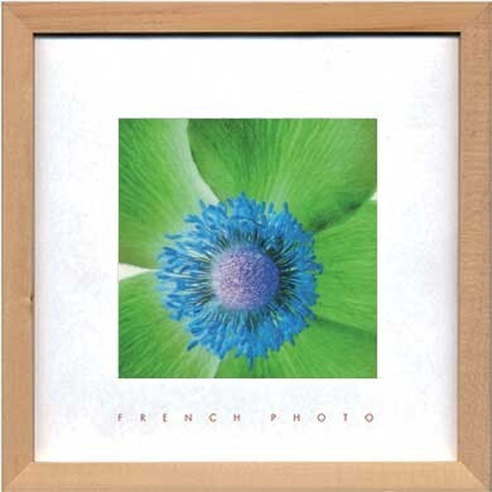 ȯ٥ȥե졼 եեȥե French Photography Anemone invert 220x220x20mm ZFP-51898 bic-7093200s1 1ܤβ 