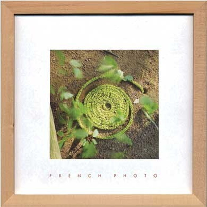 ȯ٥ȥե졼 եեȥե French Photography Green Snake 220x220x20mm ZFP-51909 bic-7093209s1 1ܤβ 