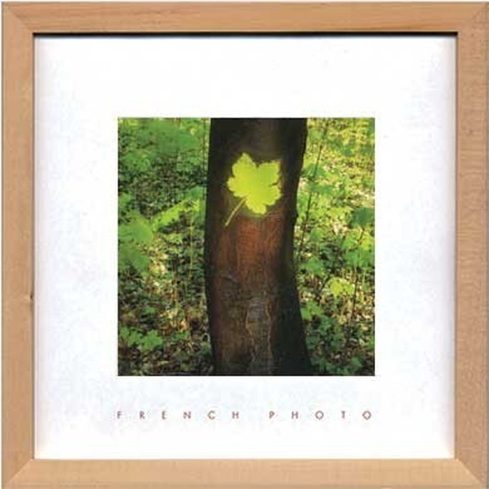 ȯ٥ȥե졼 եեȥե French Photography Maple leaf 220x220x20mm ZFP-51914 bic-7093214s1 1ܤβ 