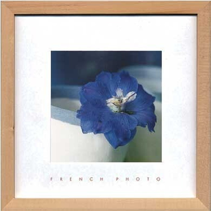 ȯ٥ȥե졼 եեȥե French Photography Delphinium elatum 220x220x20mm ZFP-51918 bic-7093218s1 1ܤβ 