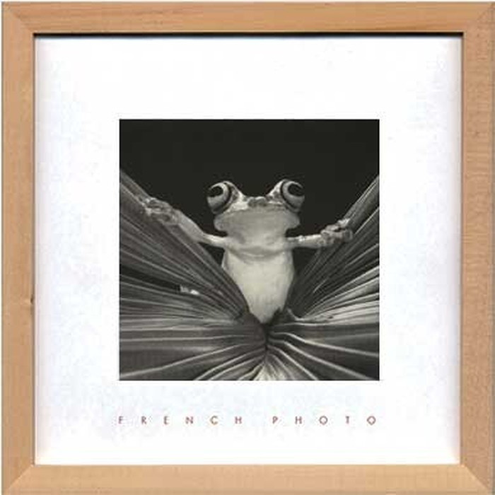 アートフレーム フレンチフォトグラフィ French Photography Tree Frog Queen 220x220x20mm ZFP-51922 bic-7093221s1 アートパネル アー