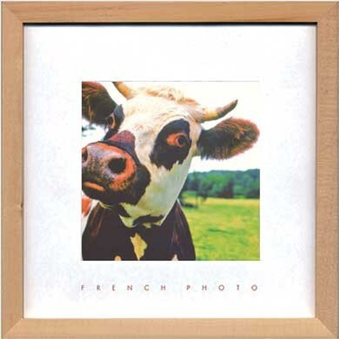 アートフレーム フレンチフォトグラフィ French Photography A Cow 220x220x20mm ZFP-51923 bic-7093222s1 アートパネル アートボード