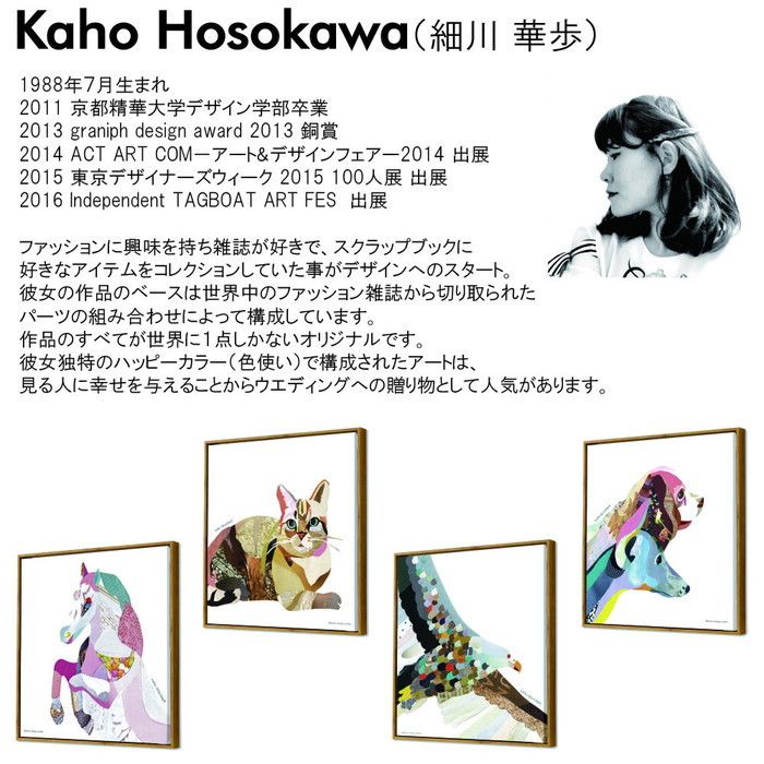 ȯ٥ȥե졼 ۤ  ݥˡ ND Concept Frame Kaho Hosokawa Pony IKH-60915 bic-9472783s1 3ܤβ 