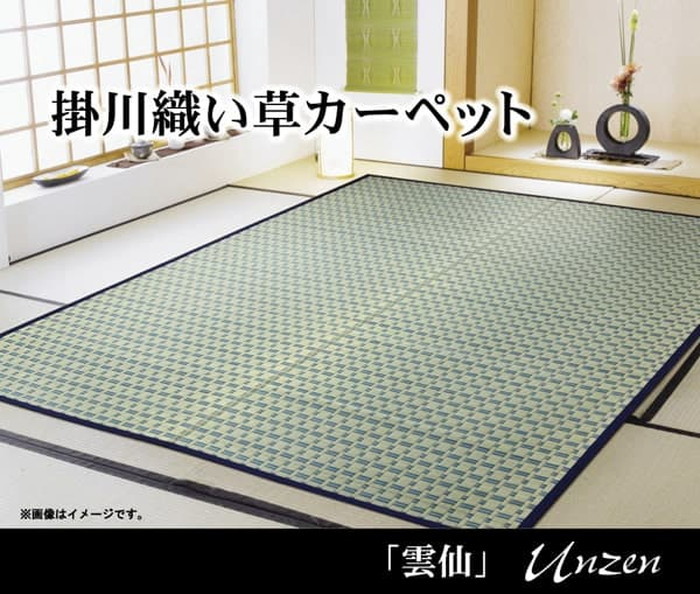[サイズ]縦：286.5×横：382cm本間6畳厚み：約2mm[素材]表地:い草 ヘリ=綿100%[生産地]中国[カラー]ベージュ ブルー[送料]全国一律送料無料[商品説明]い草敷物の中でも高級品とさ