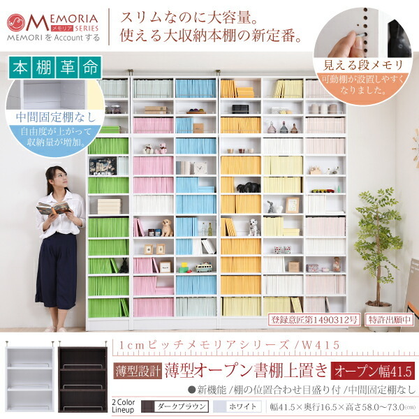本棚 薄型 オープンラック 上置き 幅41.5 MEMORIA 棚板が1cmピッチで