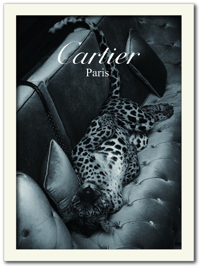 カルティエ CARTIER Fashion Photography series2 FS-2012WH-A3 フレームカラー：ホワイト サイズ：A3 kar-10130565s6 アートパネル ア