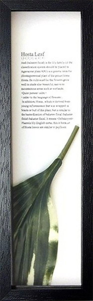 『当社発送』アジアン ハワイアン インテリアアート ハディアフータン ホスタリーフ1 ブラック PZ-3006 kar-2923019s2 1枚目の画像 