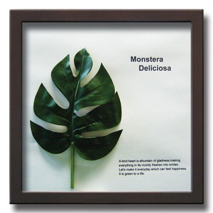 ȯ٥ƥꥢ꡼󥢡 ForestDeco Monstera Deliciosa1 ֥饦 FD-1001 kar-3060941s1 2ܤβ 