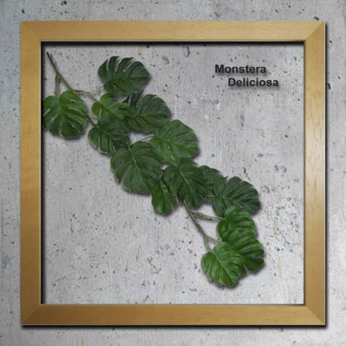 ȯ٥ƥꥢ꡼󥢡 ForestDeco Monstera ƥꥢ꡼󥢡 Deliciosa3 ʥ FD-2003 kar-3060943s2 1ܤβ 