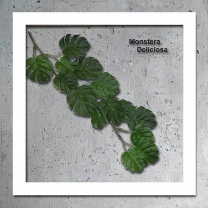 インテリアグリーンアート ForestDeco Monstera インテリアグリーンアート Deliciosa3 ホワイト FD-3003 kar-3060943s3 1枚目の画像