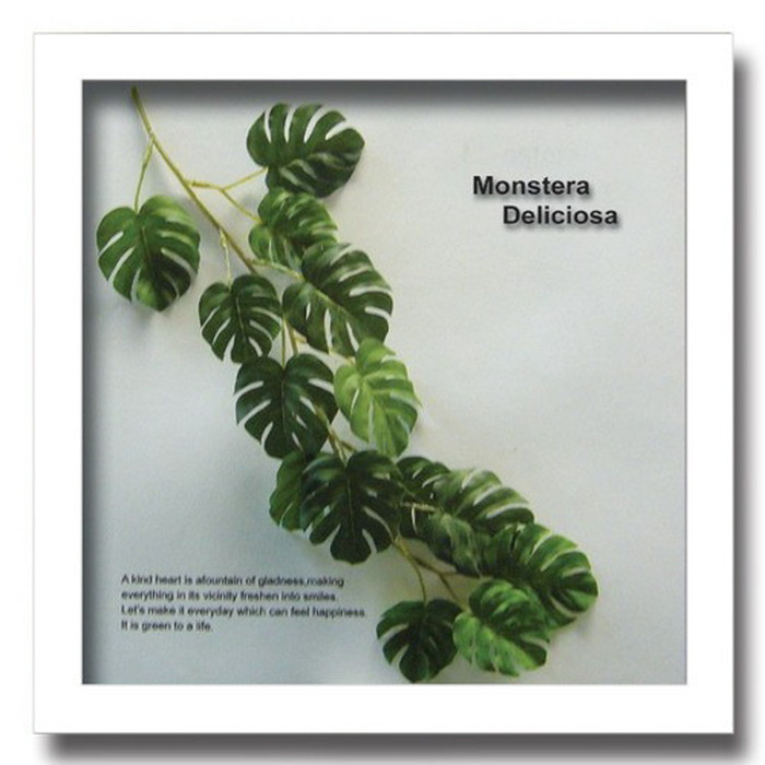 インテリアグリーンアート ForestDeco Monstera インテリアグリーンアート Deliciosa3 ホワイト FD-3003 kar-3060943s3 2枚目の画像