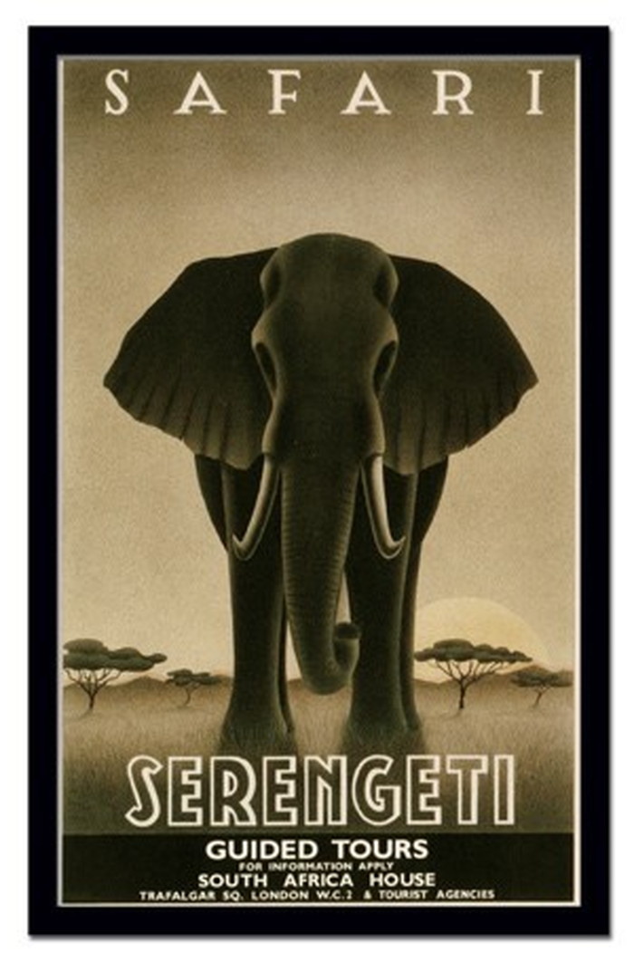 ȯ٥ƥꥢ Steve Forney Serengeti ҥ AN-10570 kar-3097167s1 1ܤβ 
