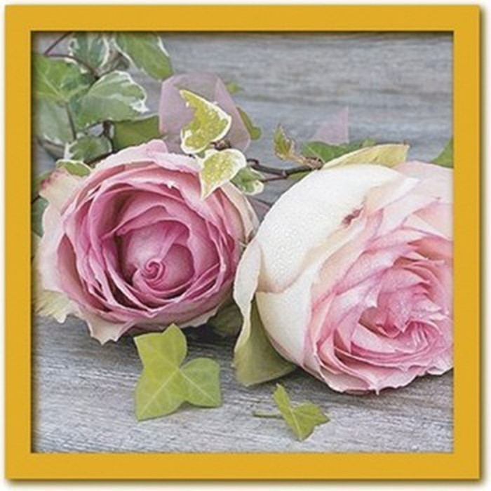 ȯ٥ƥꥢ ȥ쥯 Roses PR-1022 kar-3097357s1 1ܤβ 