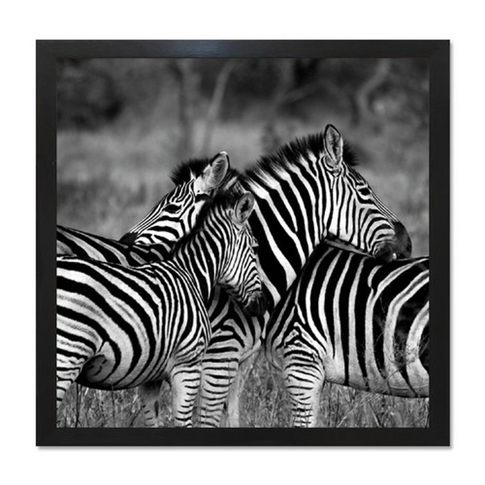 ȯ٥ƥꥢ RAKUDECO 饯ǥ꡼ Zebra ֥å RD-1007 kar-5620954s2 1ܤβ 