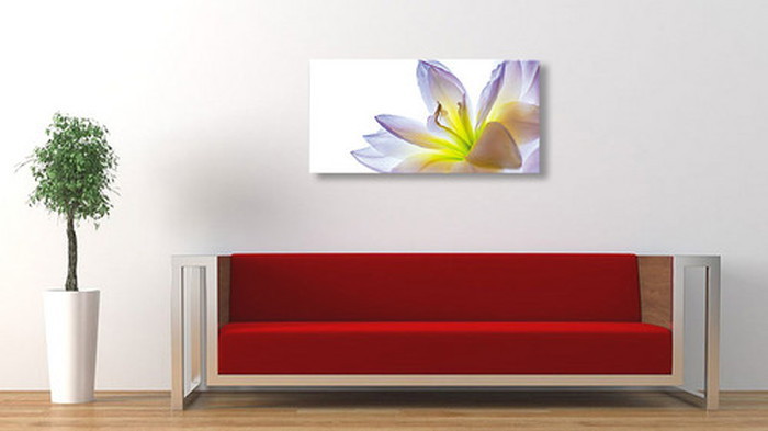 ȯCANVAS ART Х Blue Blue ֥롼֥롼 M W600H300D20mm US-5010 kar-6248603s2 3ܤβ 