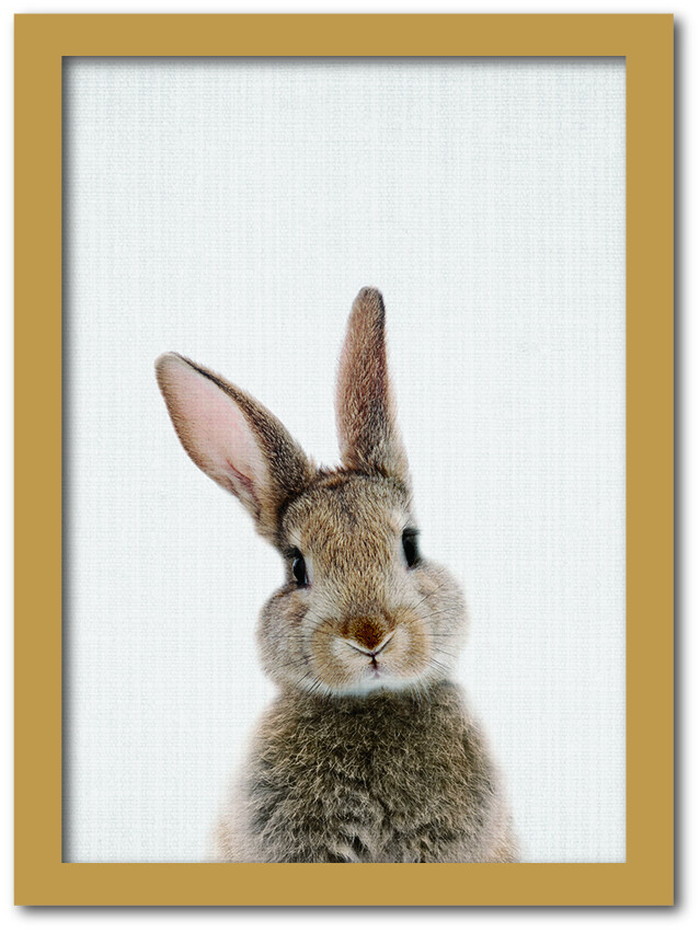 ȯAnimal Children series Rabbit  CB 1001NA ե졼५顼ʥ A4 kar-8238762s1 1ܤβ 