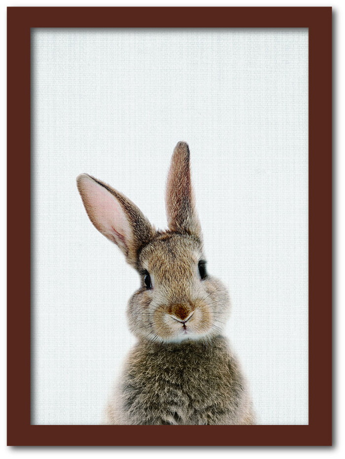 ȯAnimal Children series Rabbit  CB 1001BR ե졼५顼֥饦 A4 kar-8238762s3 1ܤβ 