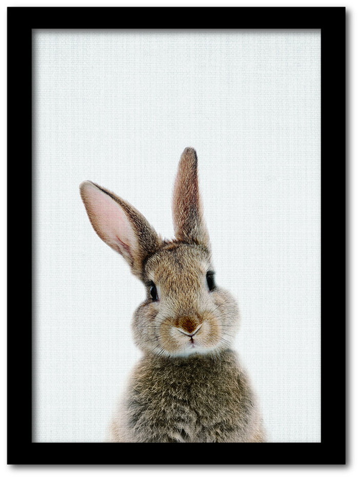 ȯAnimal Children series Rabbit  CB 1001BK ե졼५顼֥å A4 kar-8238762s4 1ܤβ 