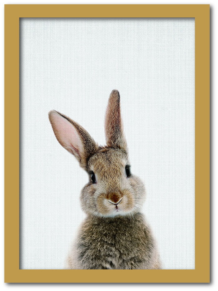 Animal Children series Rabbit ウサギ CB 2001NA フレームカラー：ナチュラル サイズ：A3 kar-8238762s5 アートパネル アートボード 壁