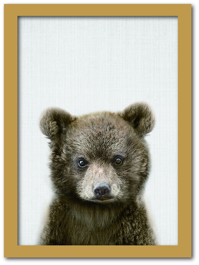 ȯAnimal Children series Bear  CB 1002NA ե졼५顼ʥ A4 kar-8238778s1 1ܤβ 