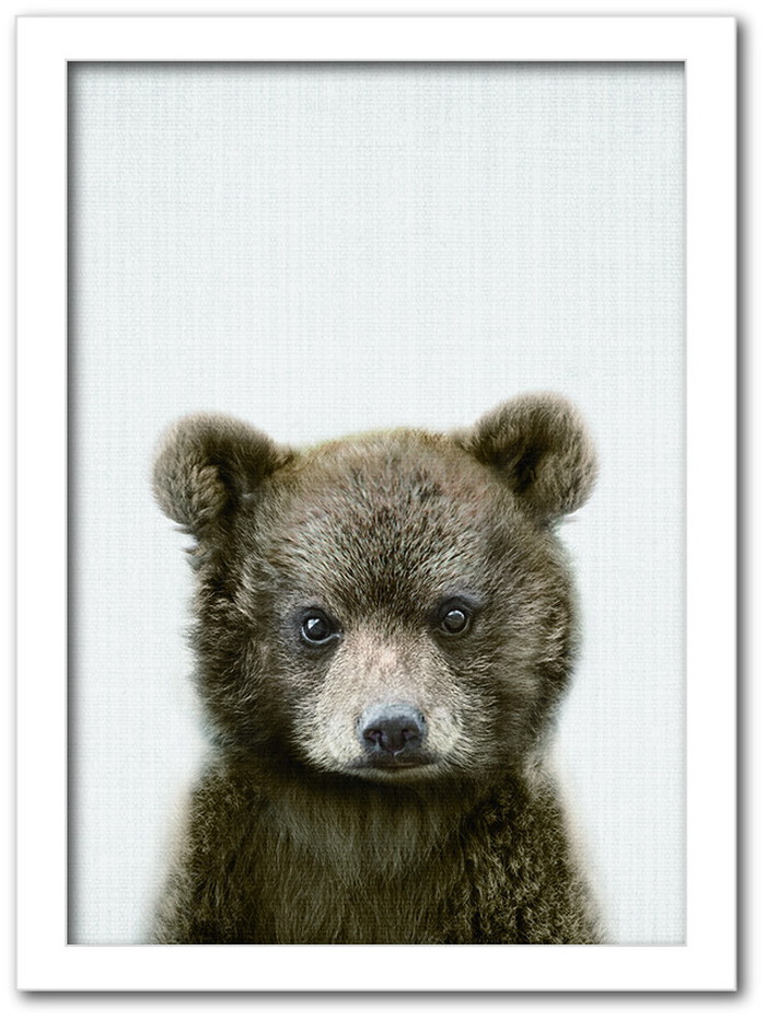 ȯAnimal Children series Bear  CB 1002WH ե졼५顼ۥ磻 A4 kar-8238778s2 1ܤβ 