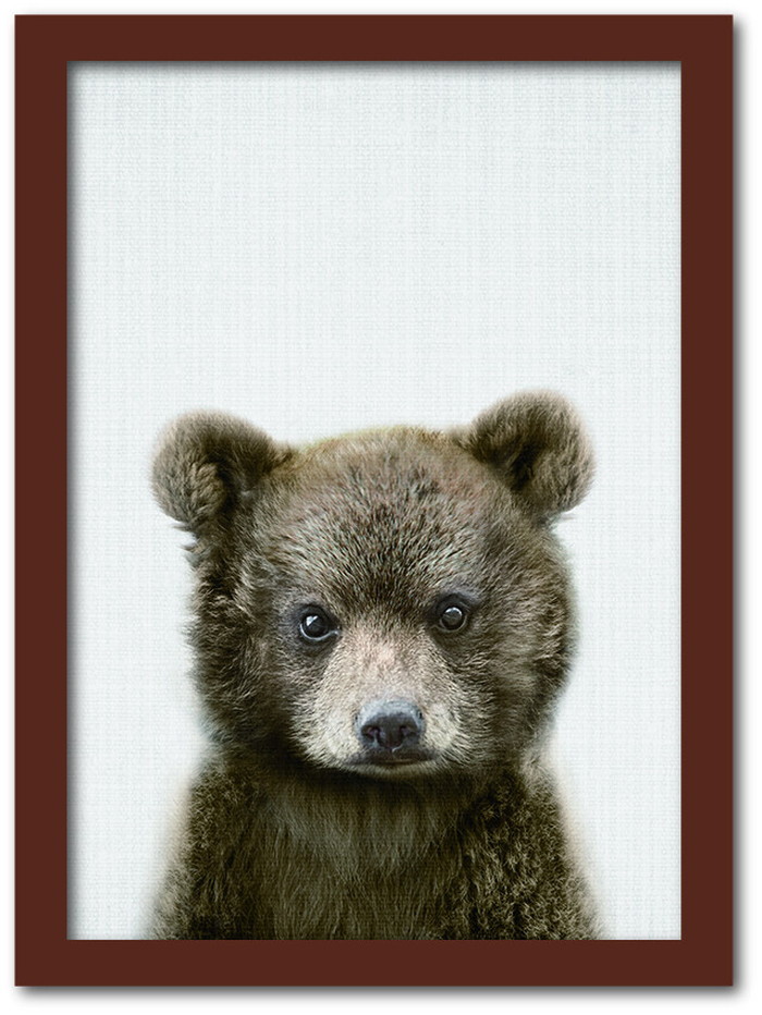 ȯAnimal Children series Bear  CB 1002BR ե졼५顼֥饦 A4 kar-8238778s3 1ܤβ 