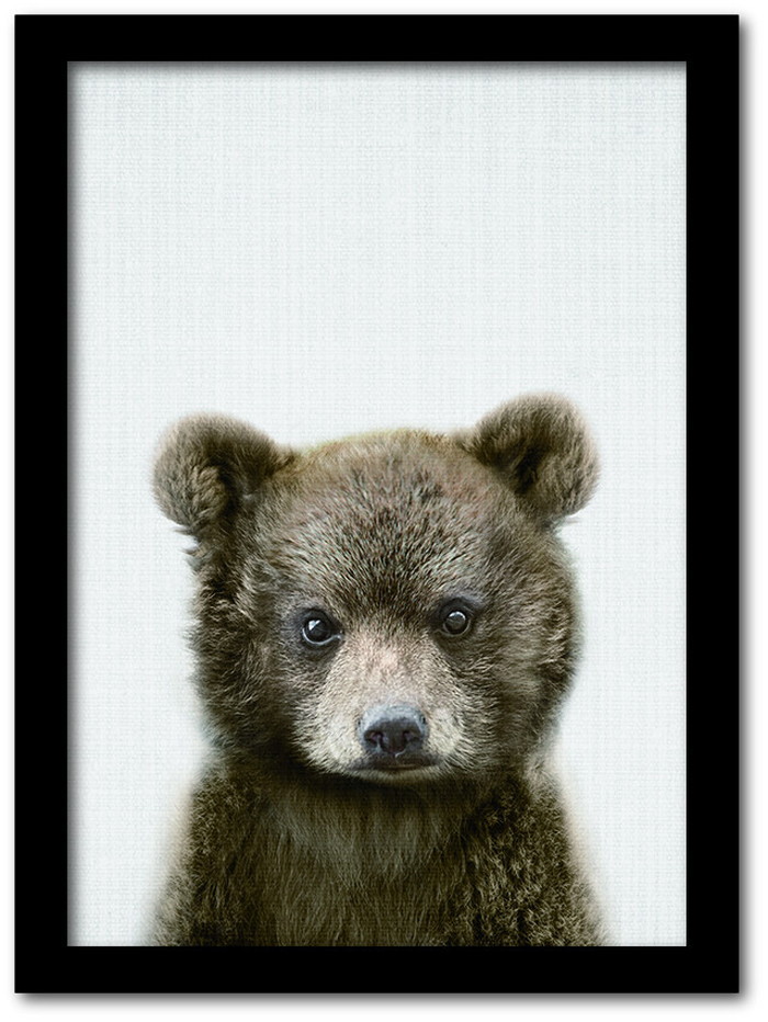 ȯAnimal Children series Bear  CB 1002BK ե졼५顼֥å A4 kar-8238778s4 1ܤβ 