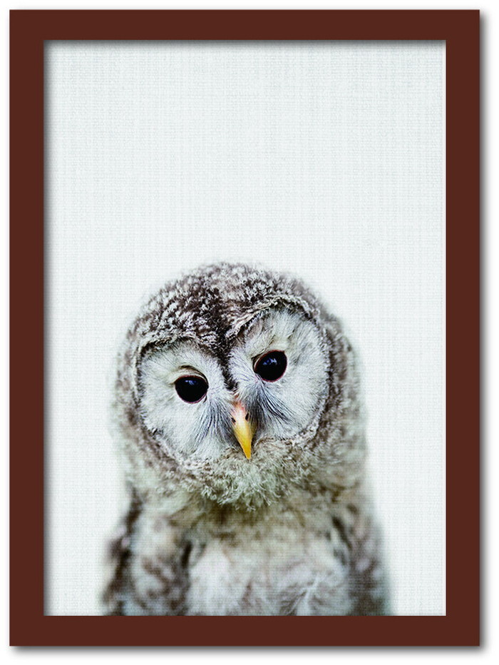 ȯAnimal Children series Owl ե CB 1003BR ե졼५顼֥饦 A4 kar-8238779s3 1ܤβ 