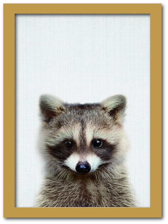 ȯAnimal Children series Raccoon ̥ CB 1004NA ե졼५顼ʥ A4 kar-8238786s1 1ܤβ 