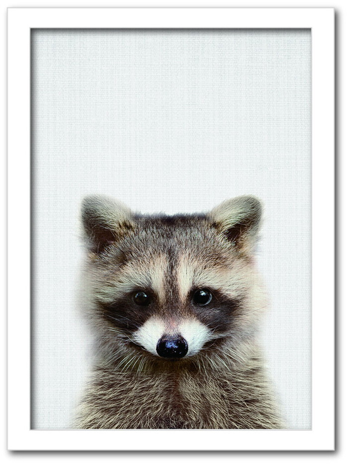 ȯAnimal Children series Raccoon ̥ CB 1004WH ե졼५顼ۥ磻 A4 kar-8238786s2 1ܤβ 