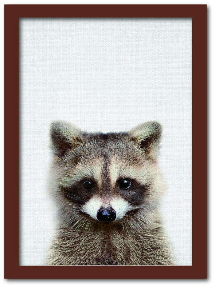 ȯAnimal Children series Raccoon ̥ CB 1004BR ե졼५顼֥饦 A4 kar-8238786s3 1ܤβ 